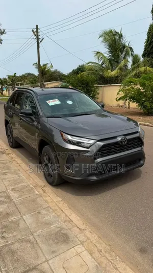 Toyota RAV4 XLE Premium AWD 2024 Gray