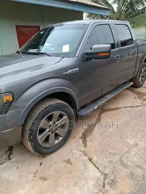 Ford F-150 2013 Gray