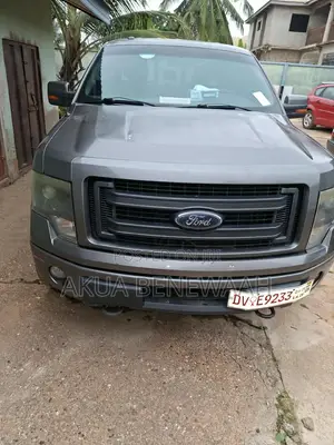 Ford F-150 2013 Gray