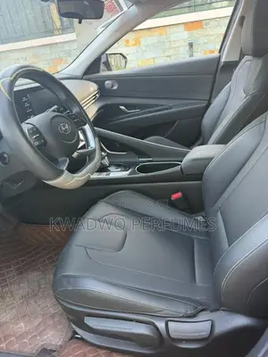 Hyundai Elantra 2021 Gray