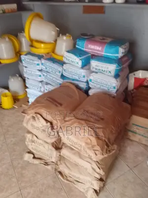 L Lysine 25kg