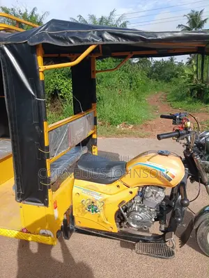 Apsonic AP150ZK 2024 Yellow