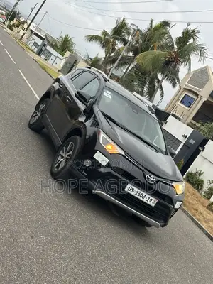 Toyota RAV4 XLE AWD (2.5L 4cyl 6A) 2017 Black