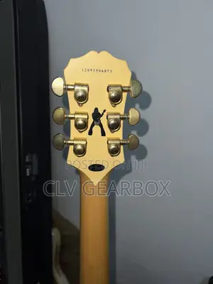 Original Guitar Zack Wylde Signature Epiphone.