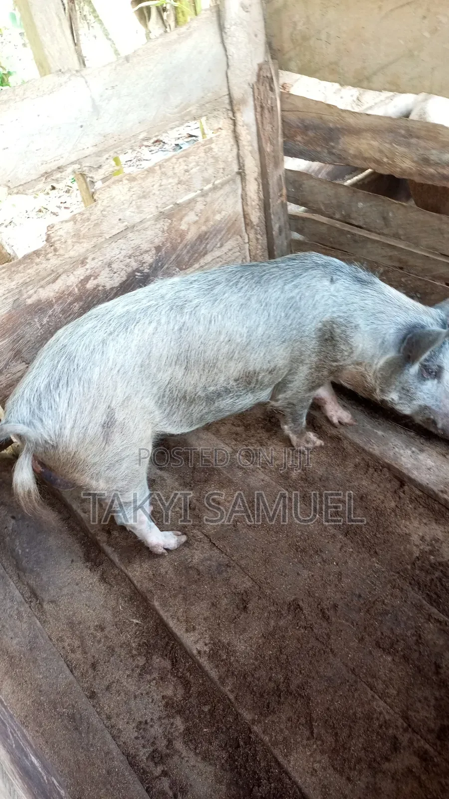 Our Day Farm