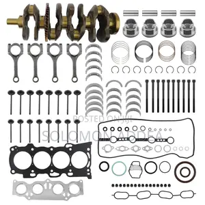 Engine Rebuild/Piston Timing Chain Kit Crankshaft Valve Rings Oilpumps