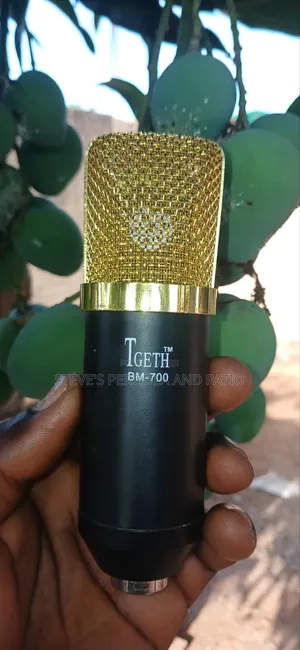 Behringer Studio Mic
