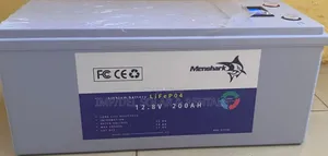 Lithium Battery LiFePO4 12.8V200AH Deep Cycle Battery Over 6000 Cycles