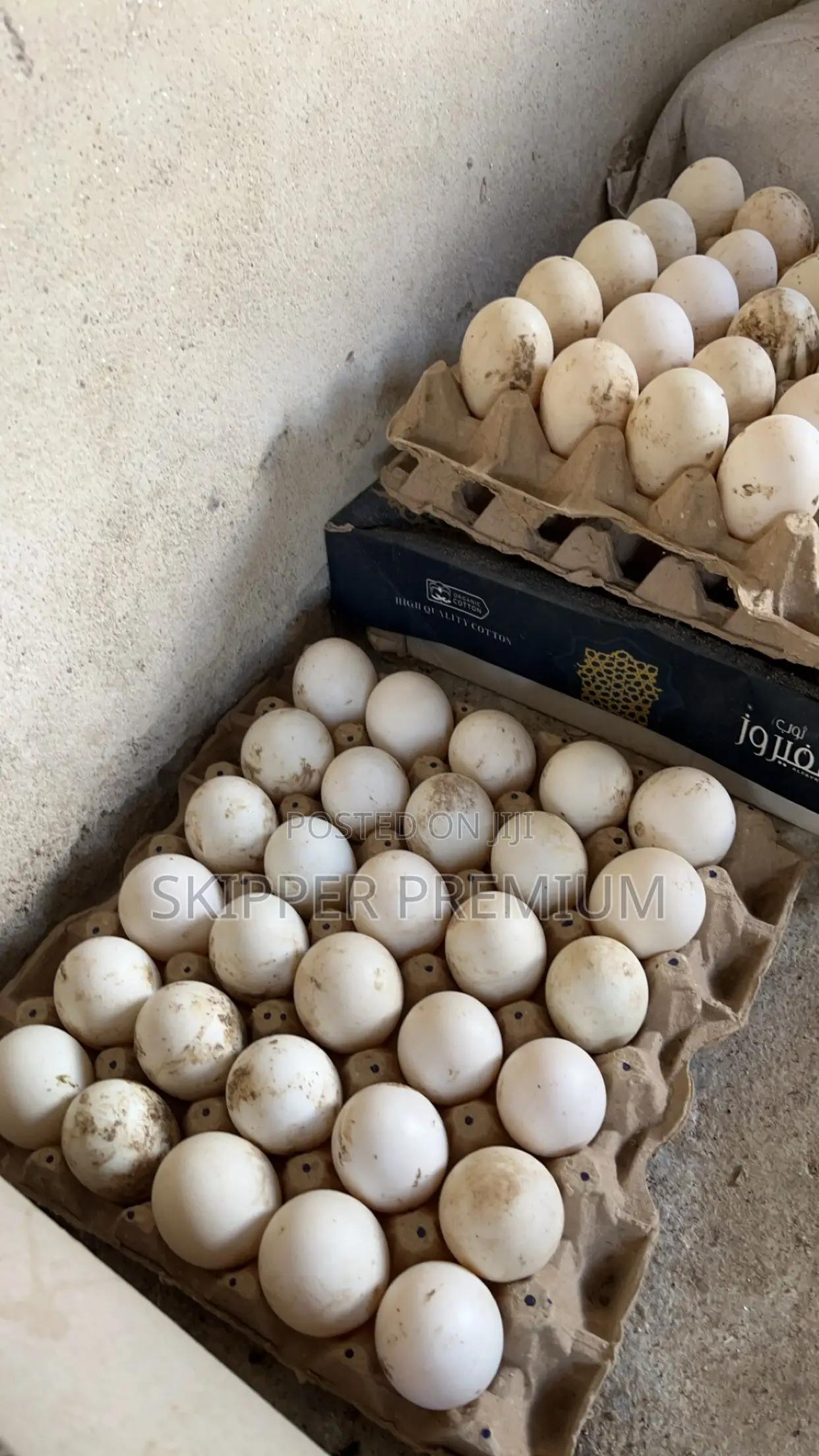 Day Old Pekin Ducks, Fertile Egg and Matured for Meat.