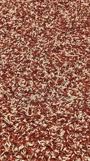 Brown Fiber
