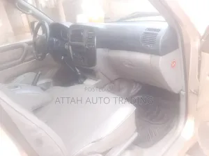 Toyota Land Cruiser 2009 Brown