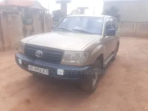 Toyota Land Cruiser 2009 Brown