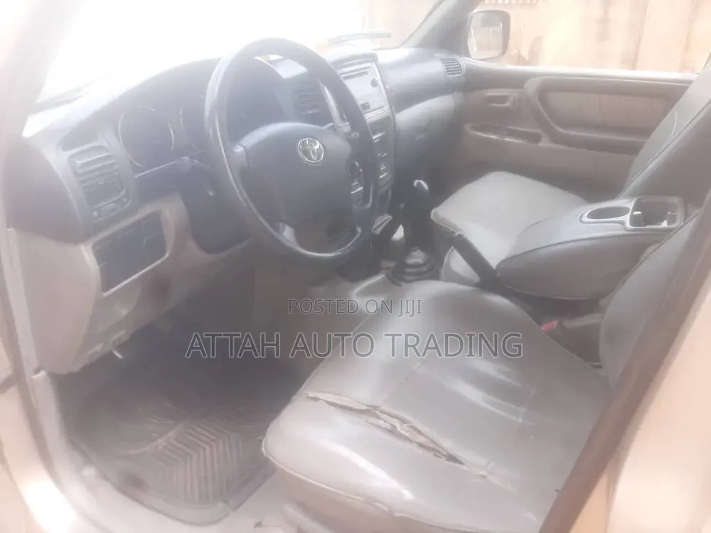 Toyota Land Cruiser 2009 Brown