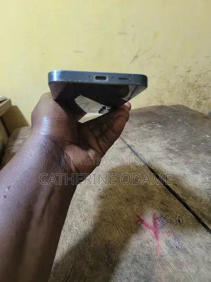 Samsung Galaxy A55 256 GB