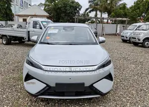 New BYD Yuan Plus 2025 Silver