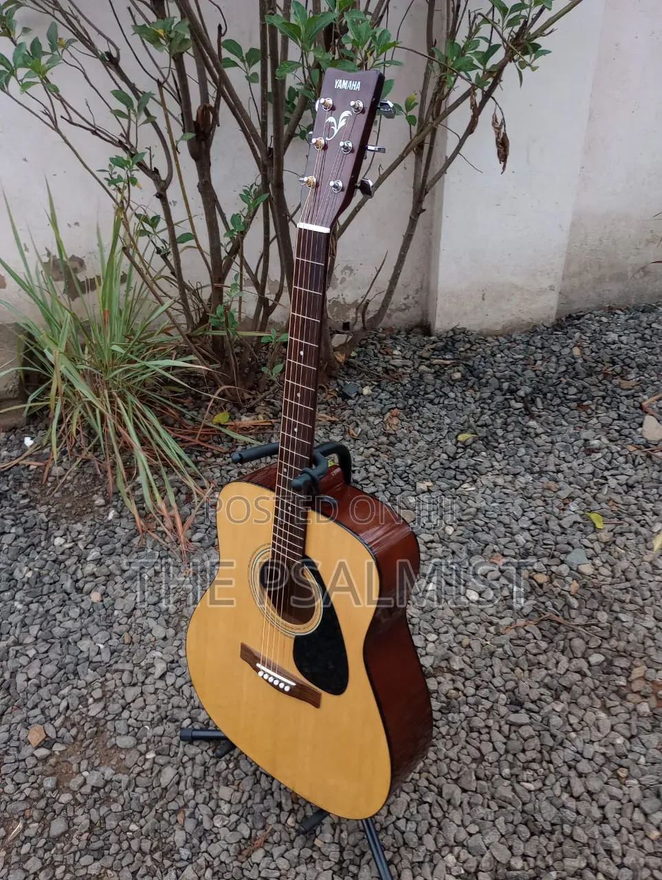 Yamaha F310 Acoustic Guitar With Padded Bag