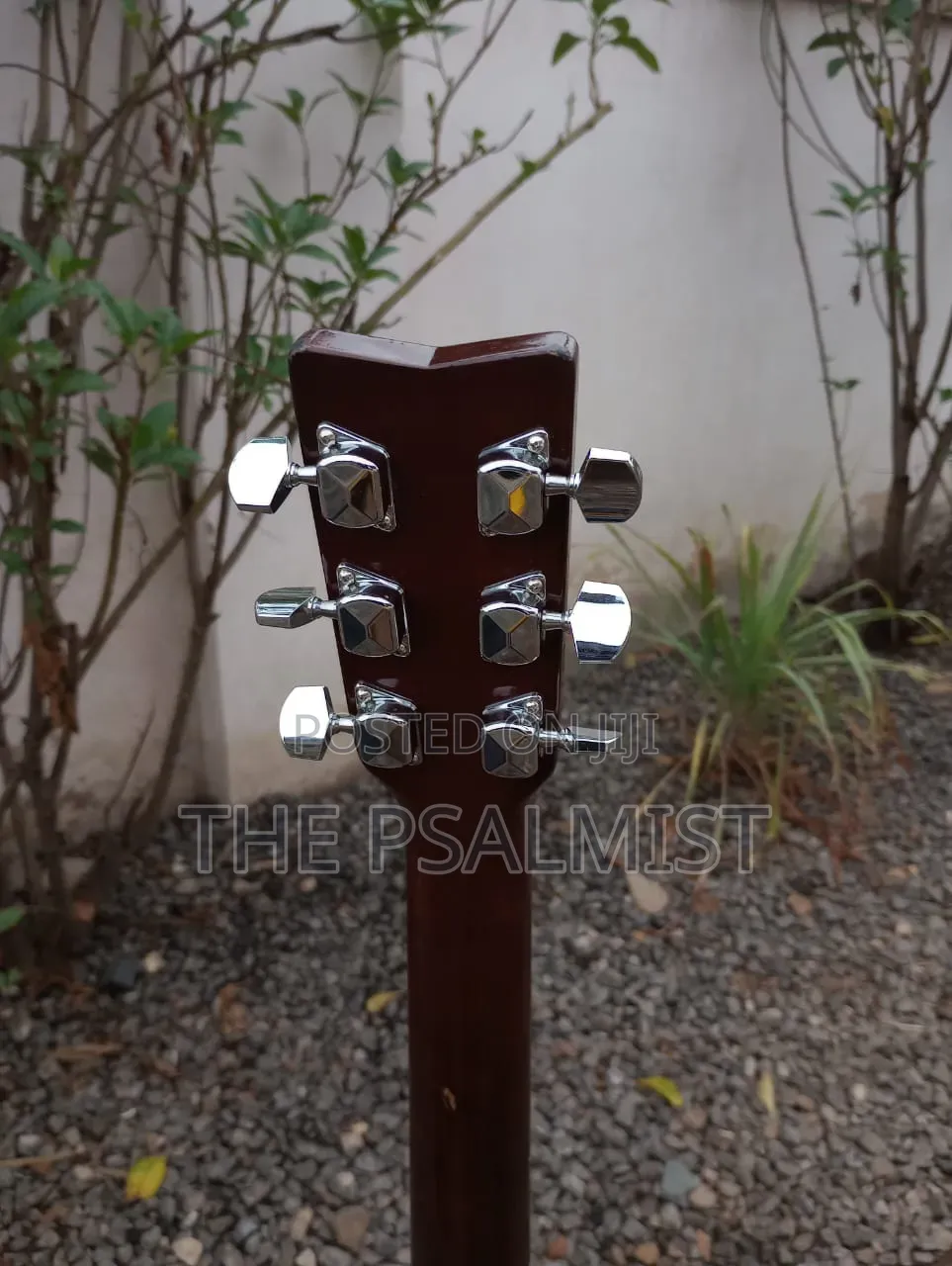 Yamaha F310 Acoustic Guitar With Padded Bag