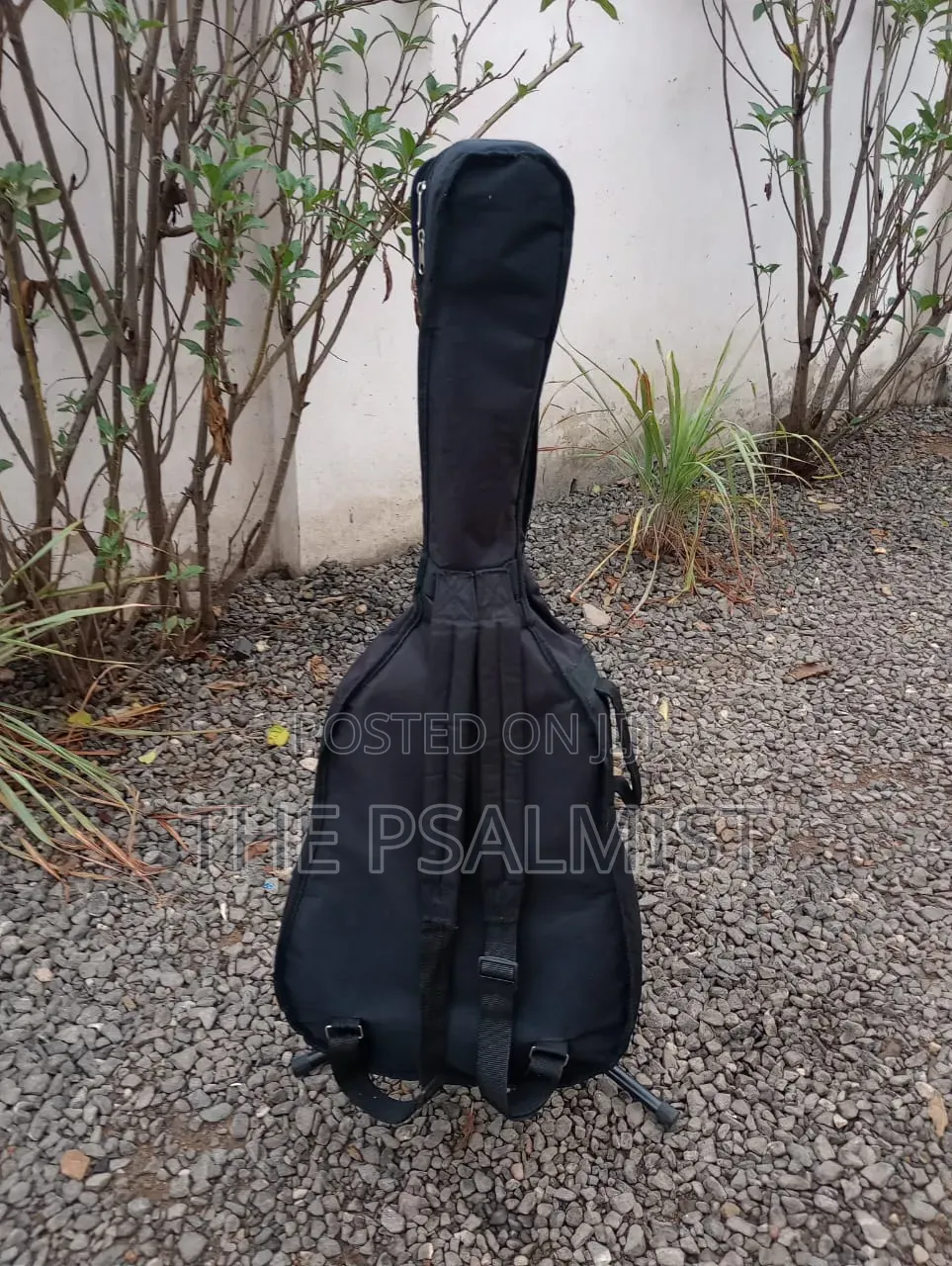 Yamaha F310 Acoustic Guitar With Padded Bag