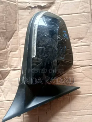 BMW Side Mirror F30