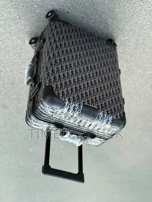 Dior Travel Bag