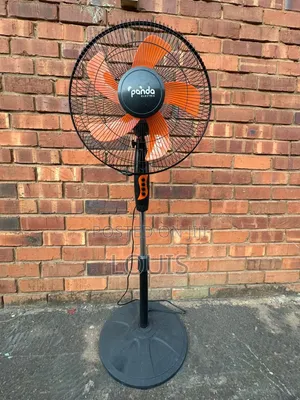 Standing Fan