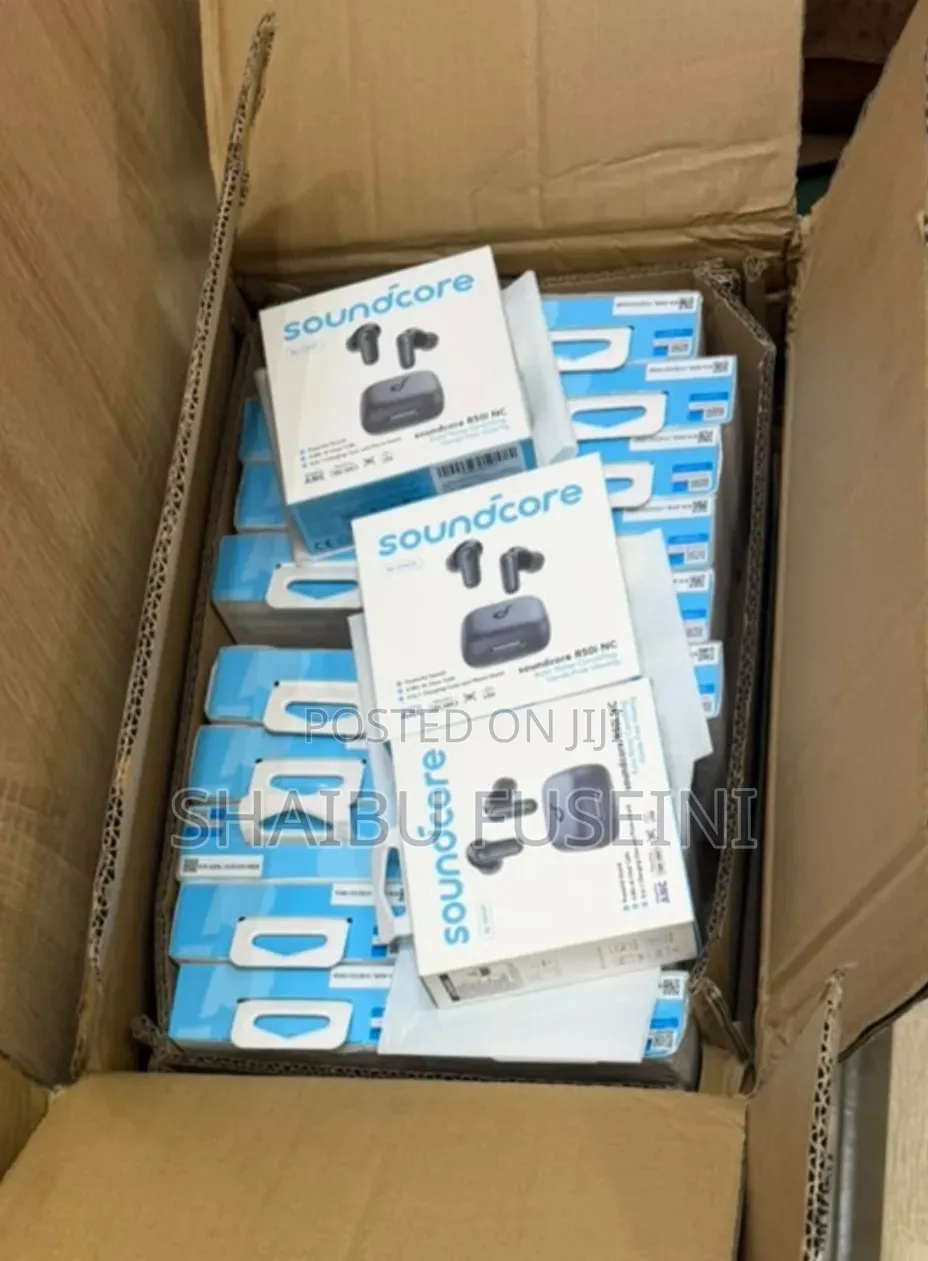 Anker Soundcore R50i