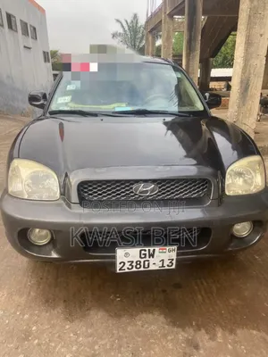 Hyundai Santa Fe 2005 Gray