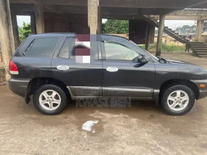 Hyundai Santa Fe 2005 Gray