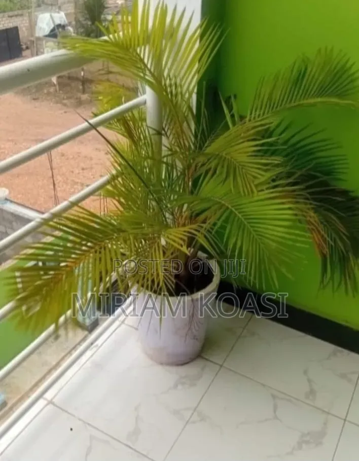 1bdrm Apartment in Abokobi Council for rent