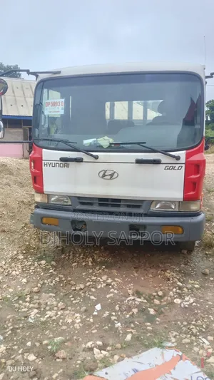 Home Use Hyundai Gold