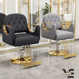Salon Chair