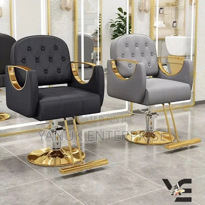 Salon Chair