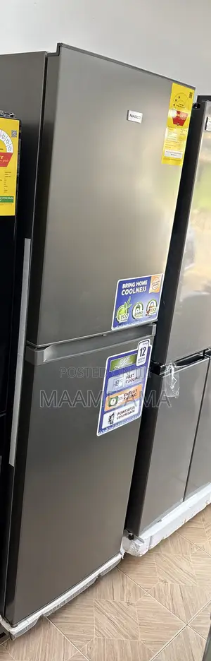 Nasco 251Ltrs Bottom Freezer - Nasd2-29sk
