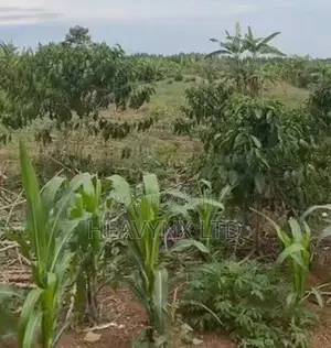 Plots of Land for Sale at Wovogu, Tamale