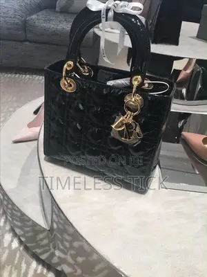 Dior Ladies Bag