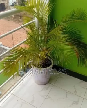 2bdrm Apartment in Abokobi Council for rent