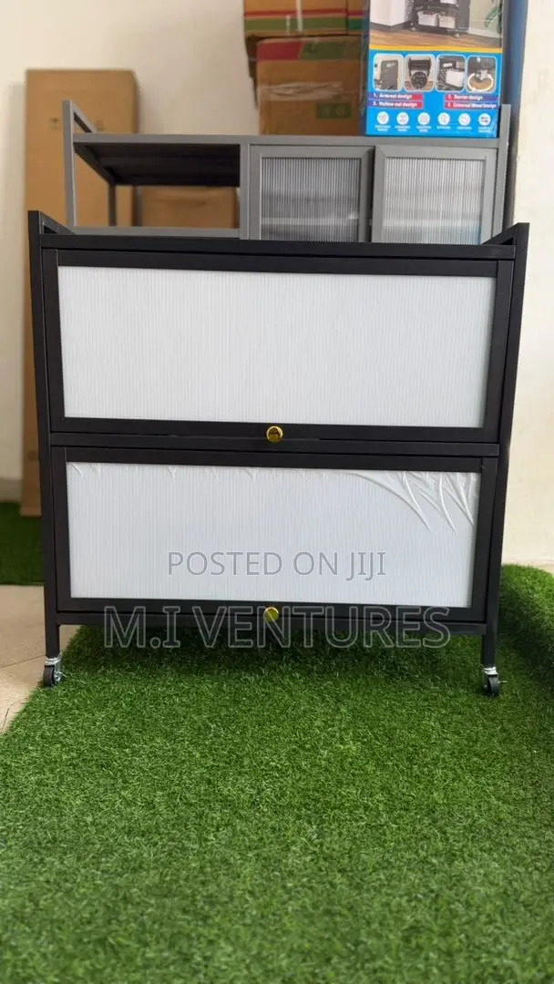 2 Door Modern Cabinet