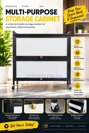 2 Door Modern Cabinet