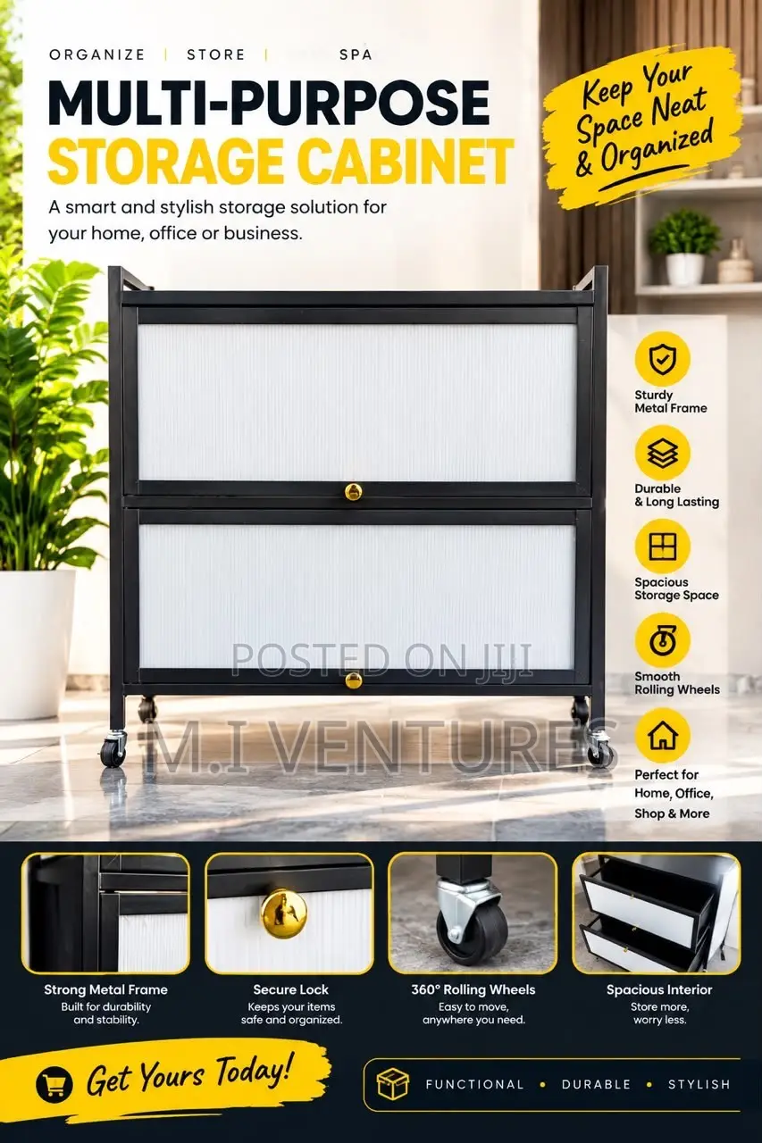 2 Door Modern Cabinet