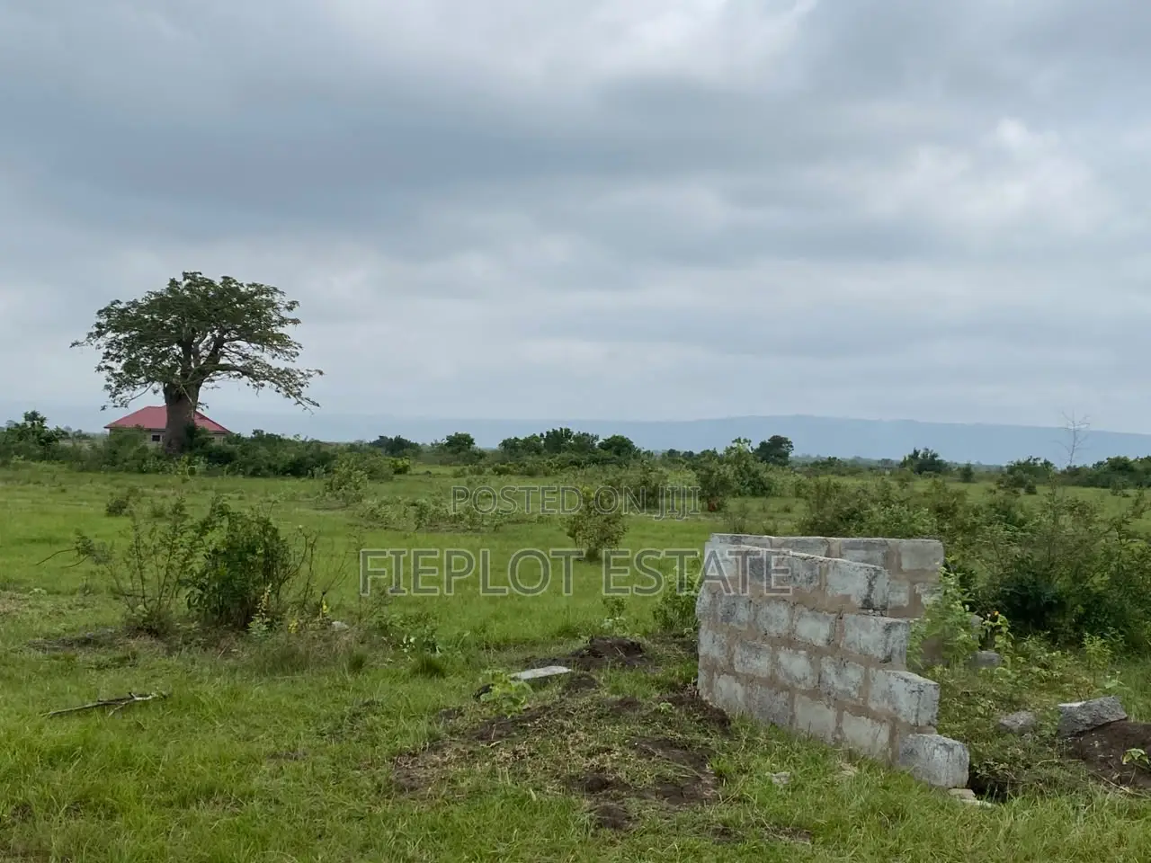 Why Rent When You Can Own Land?