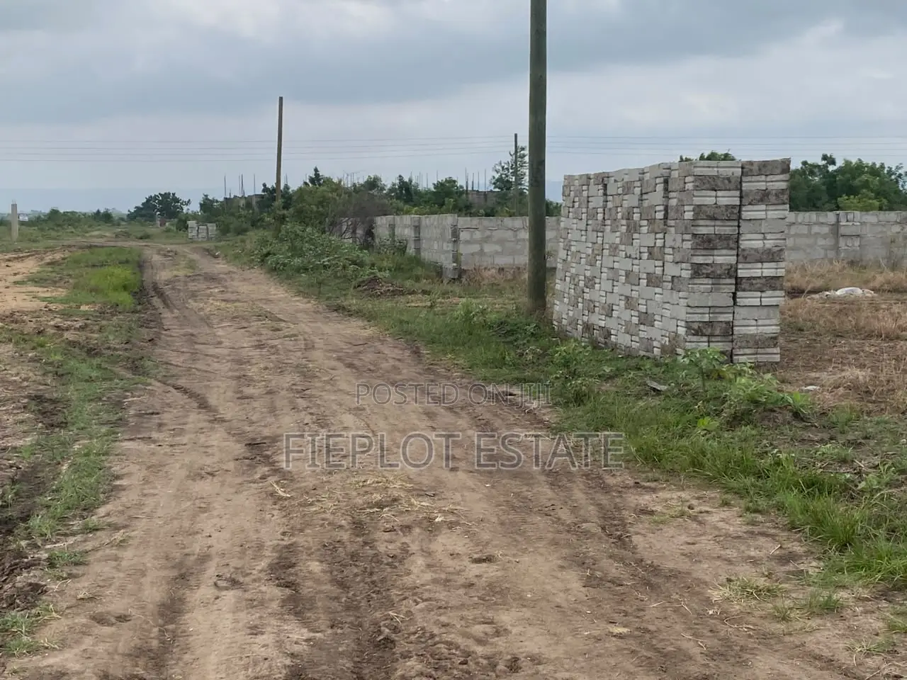 Why Rent When You Can Own Land?