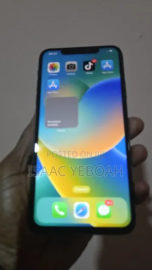 Apple iPhone 11 Pro Max 64 GB Gray