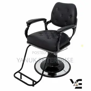 Salon/Barber Chair