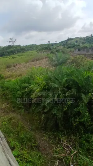A Plot of Land for Sale