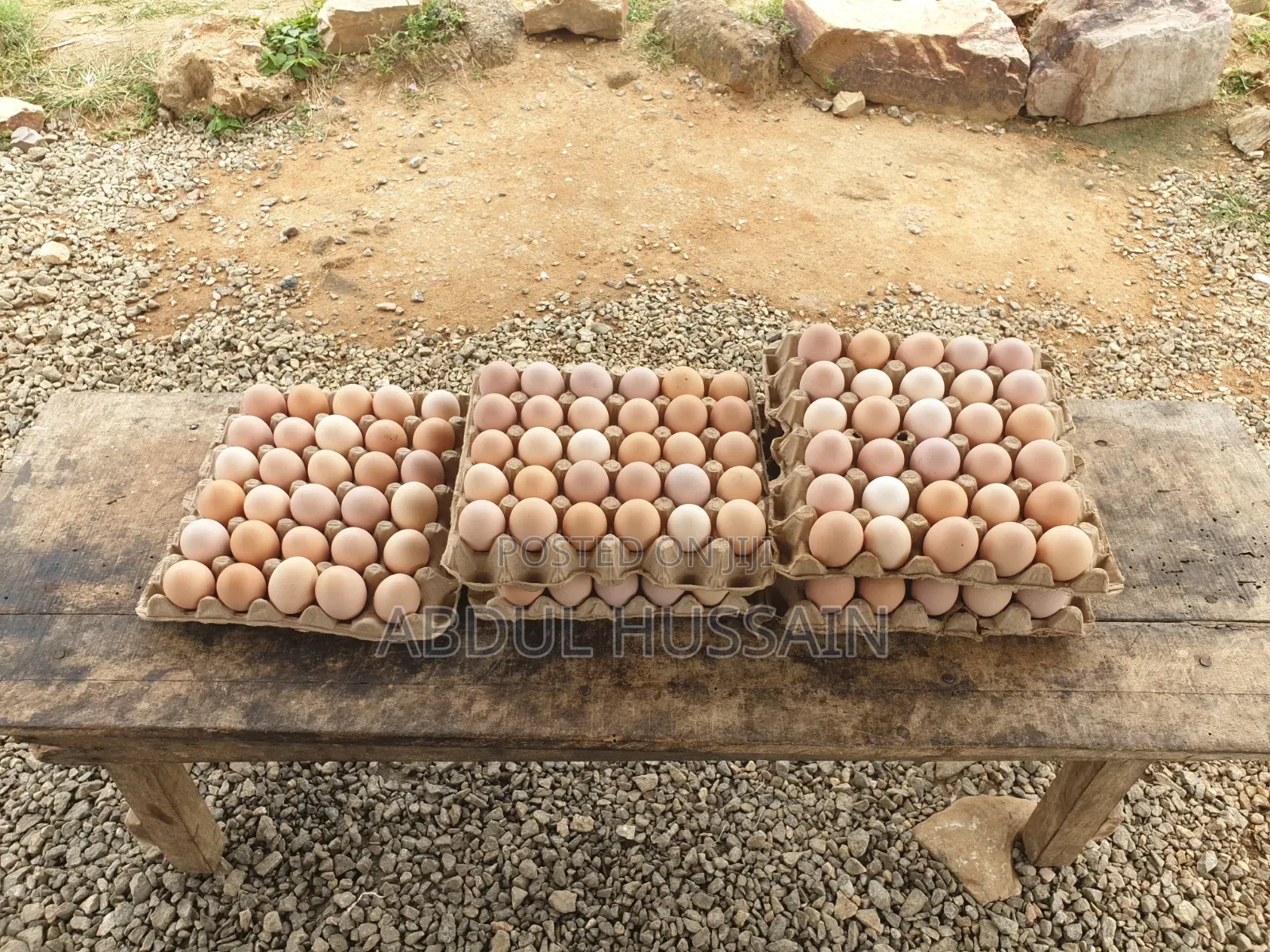 Poultry Farming, Chicken and Eggs