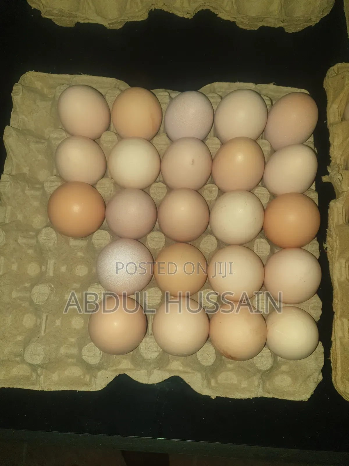 Poultry Farming, Chicken and Eggs