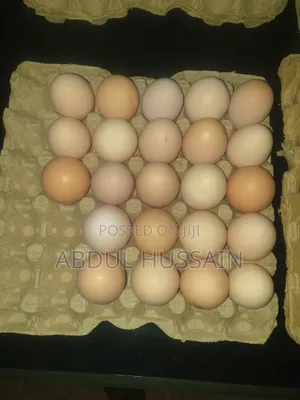 Poultry Farming, Chicken and Eggs