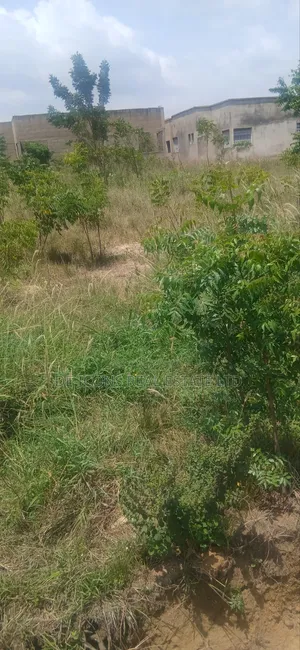 Registered Land in Kasoa Near Apra for Sale