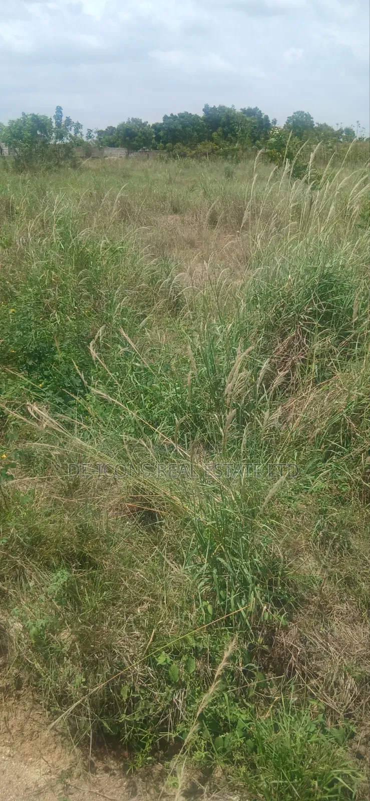 Registered Land in Kasoa Near Apra for Sale