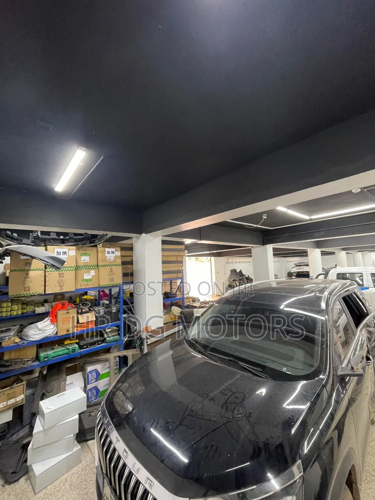 Car Window Tint Specialist
